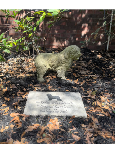 Pet Euthanasia in Clemson, SC