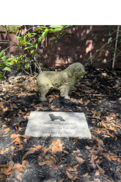 Pet Euthanasia in Clemson, SC