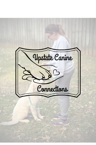 Canine Training and Behavior